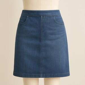 S.C & Co Denim Skirt – Size 10 – New with Tags